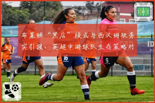 布莱顿“黑店”模式与西汉姆联务实引援,英超中游球队生存策略对比