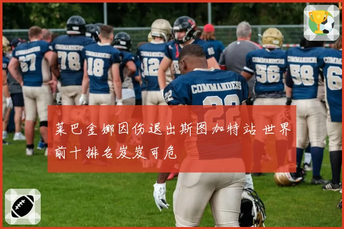 莱巴金娜因伤退出斯图加特站 世界前十排名岌岌可危